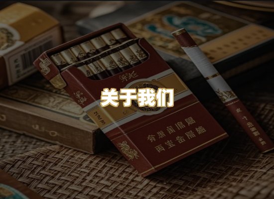 关于我们